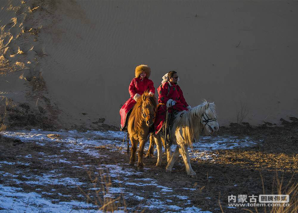 【图说内蒙古】行走在岁月更迭里 展望未来的凤凰马场牧业合作社