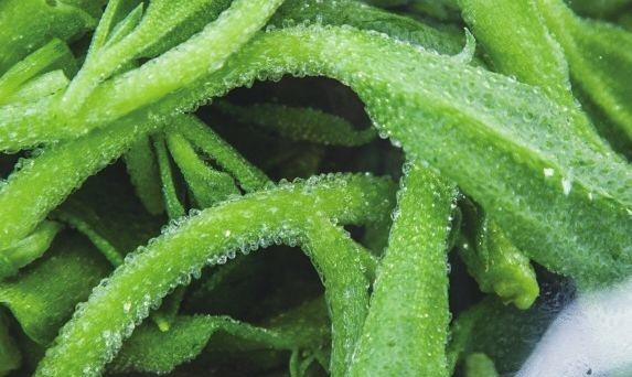 冰草沙拉��（轻食款）