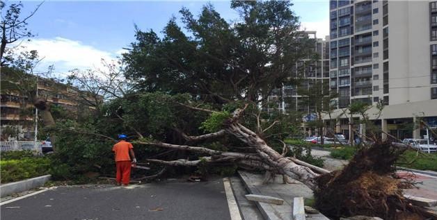 台风级数对应的破坏力, 达到多少级步行