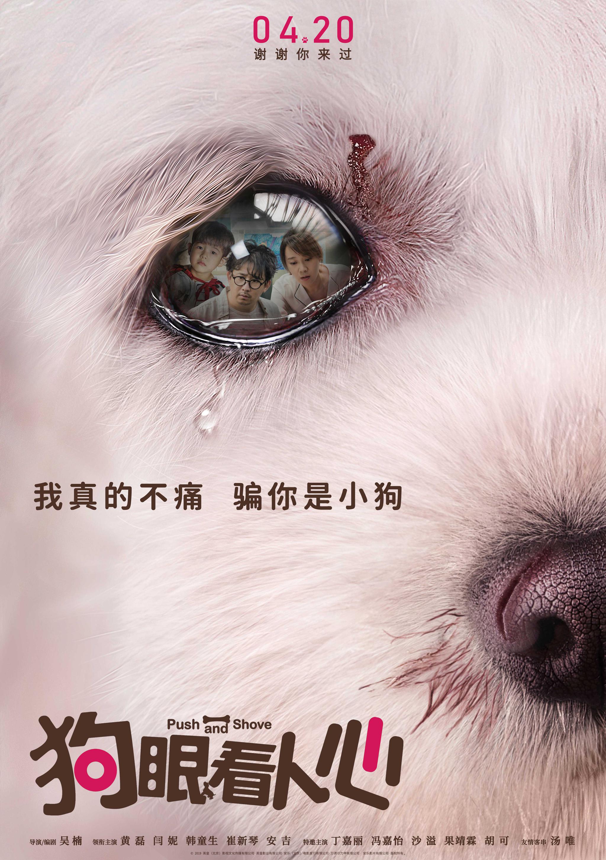 狗的6岁相当于人类40岁 看完《狗眼看人心》海报哭了_凤凰网
