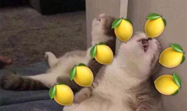 有TA，实现空调自由，极致享受触手可得