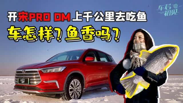 初晓敏：开宋Pro DM 上千公里去吃鱼 车怎样？鱼香吗？