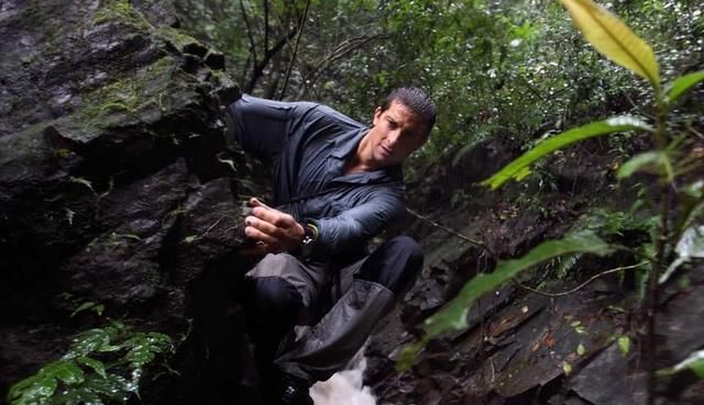 四本深受读者喜爱的荒野求生小说，剧情精彩，保证让你眼前一亮！