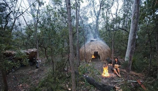 四本深受读者喜爱的荒野求生小说，剧情精彩，保证让你眼前一亮！