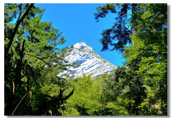 ʱ���ȵ㣺�¿���̬��������Ҫ���ǵ�����