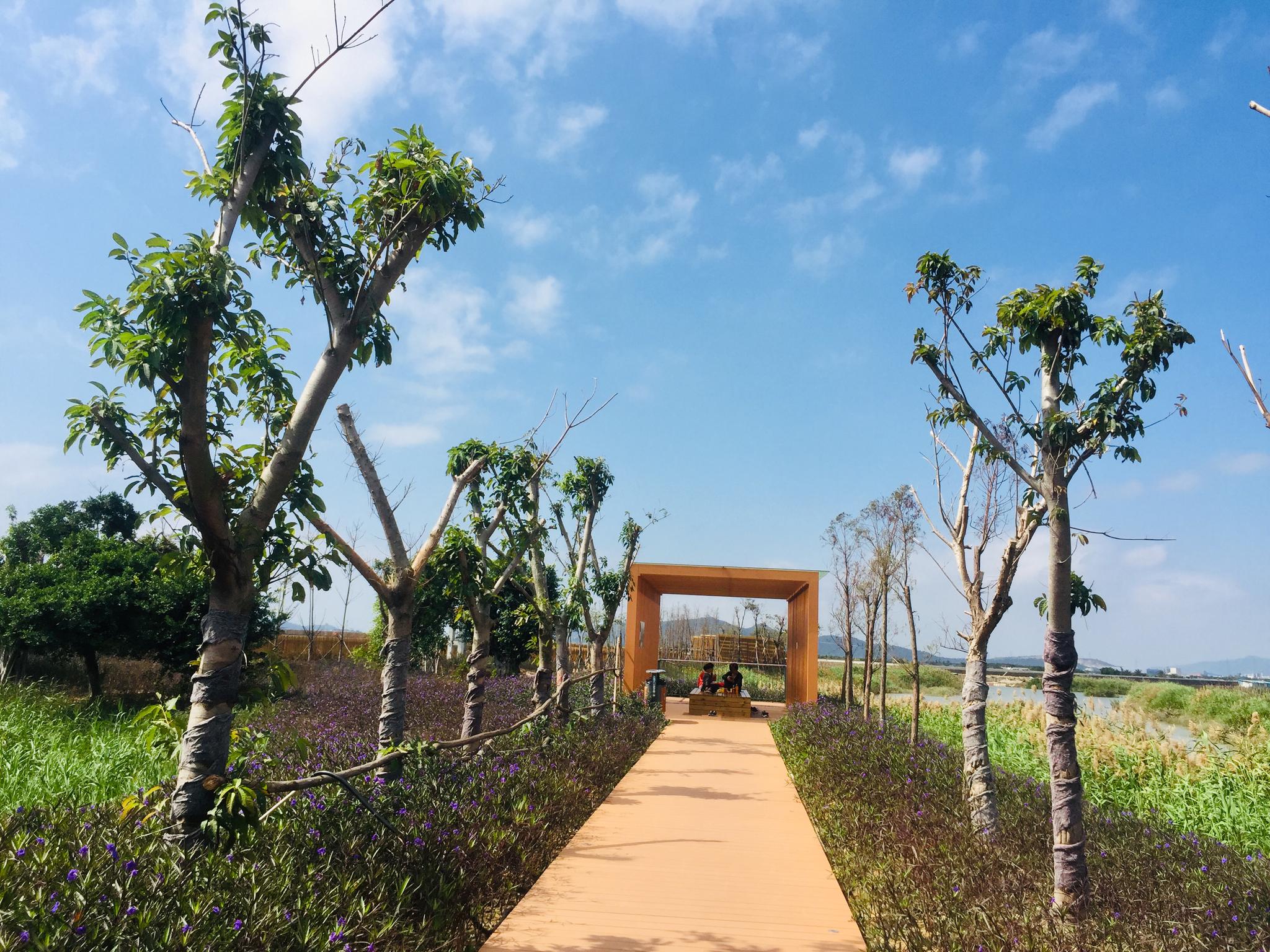 珠海三灶镇各村常住人口多少_珠海三灶镇金沙滩图片(2)