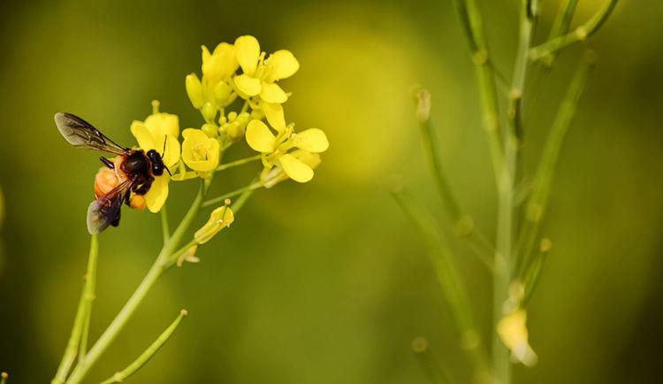 人生四字真言,每天看一遍,活得轻松一点