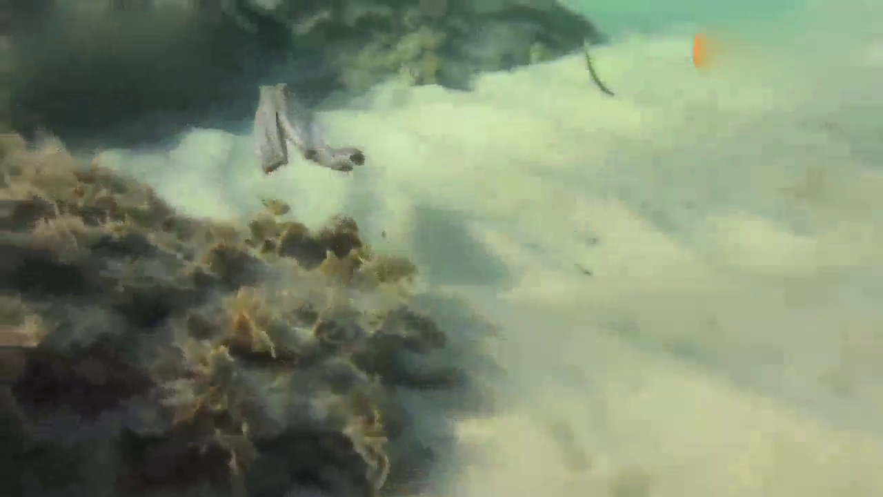 这卡车，拥有8只手72变，清洁工要失业了