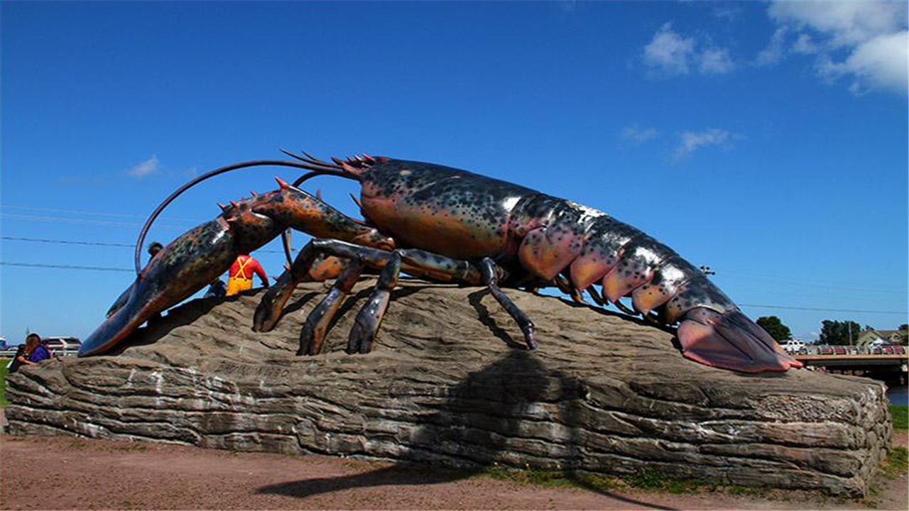 全球最大的龙虾体长12米重20公斤老外这样处理太可惜了