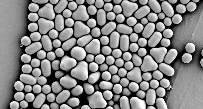 介稳性在化学中的含义 胶体稳定性如何理解
