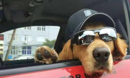 雨天路滑车上1个部件能救命还有件事儿需要注意