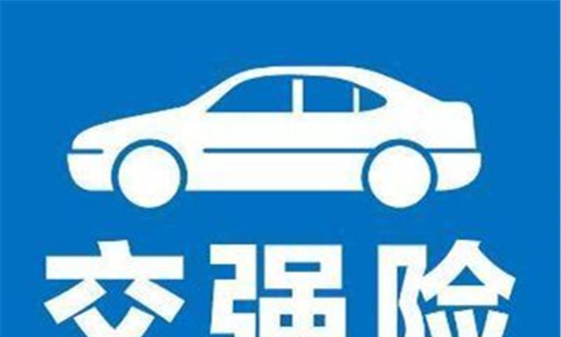 部分地区交强险标签不用贴了？车主表示期待：从此告别“牛皮癣”