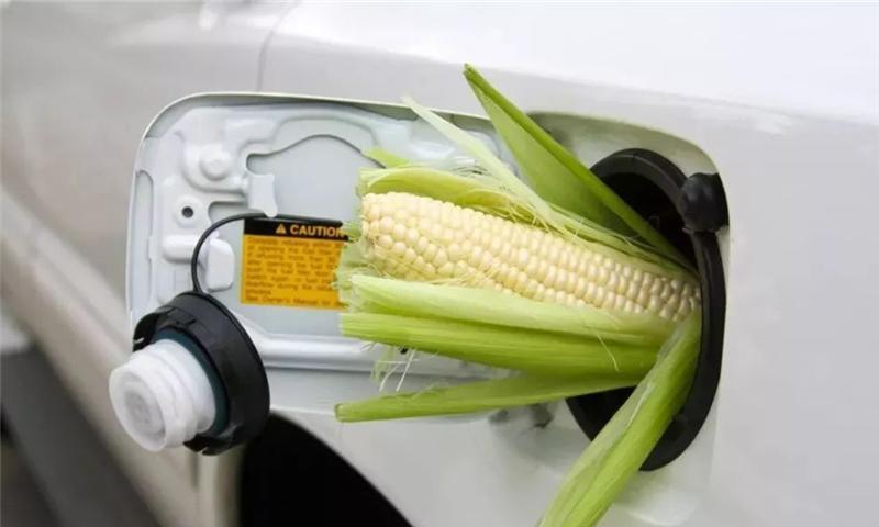 乙醇汽油出问题，发动机拉缸车主集体维权，原因却是这东西太多！