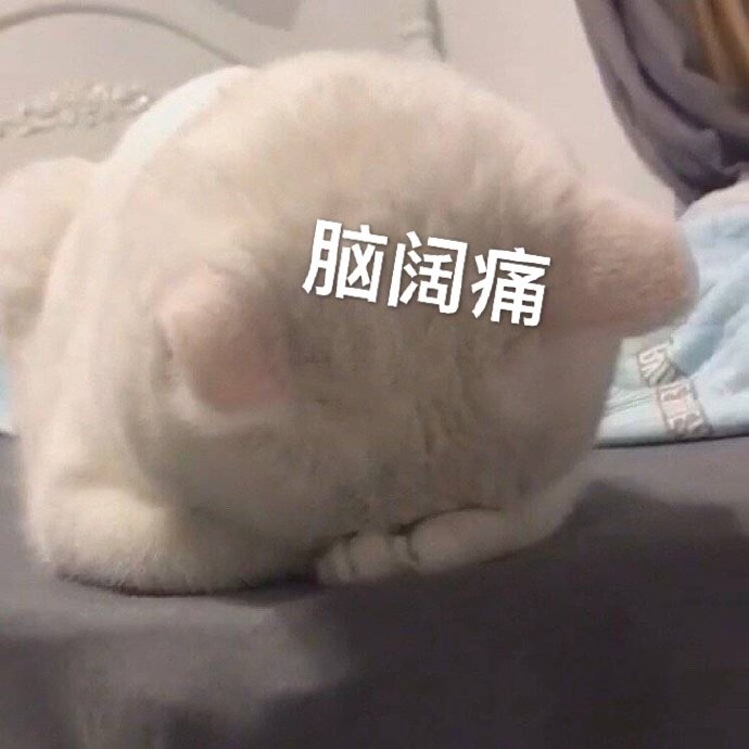 表情包我可去你的吧