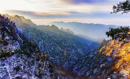 大自然奇妙动植物 身边有哪些动植物