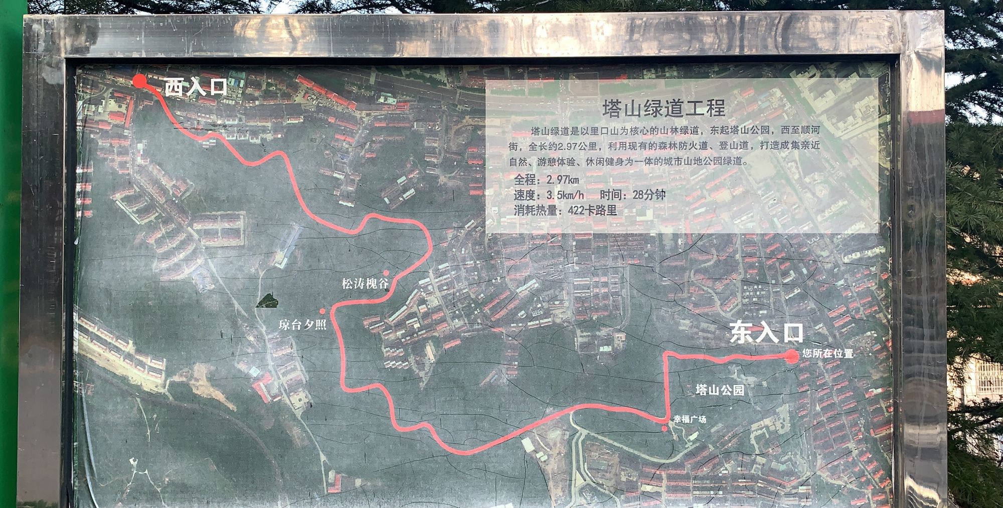 威海塔山公园,冬日小园景,美美的