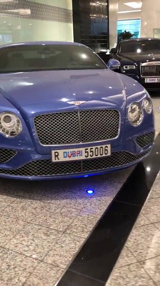 迪拜两大豪华车你喜欢那个