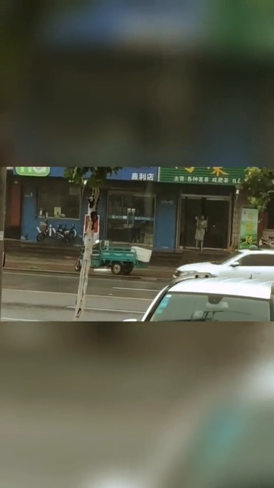 这电动车的自动泊车系统出故障了！