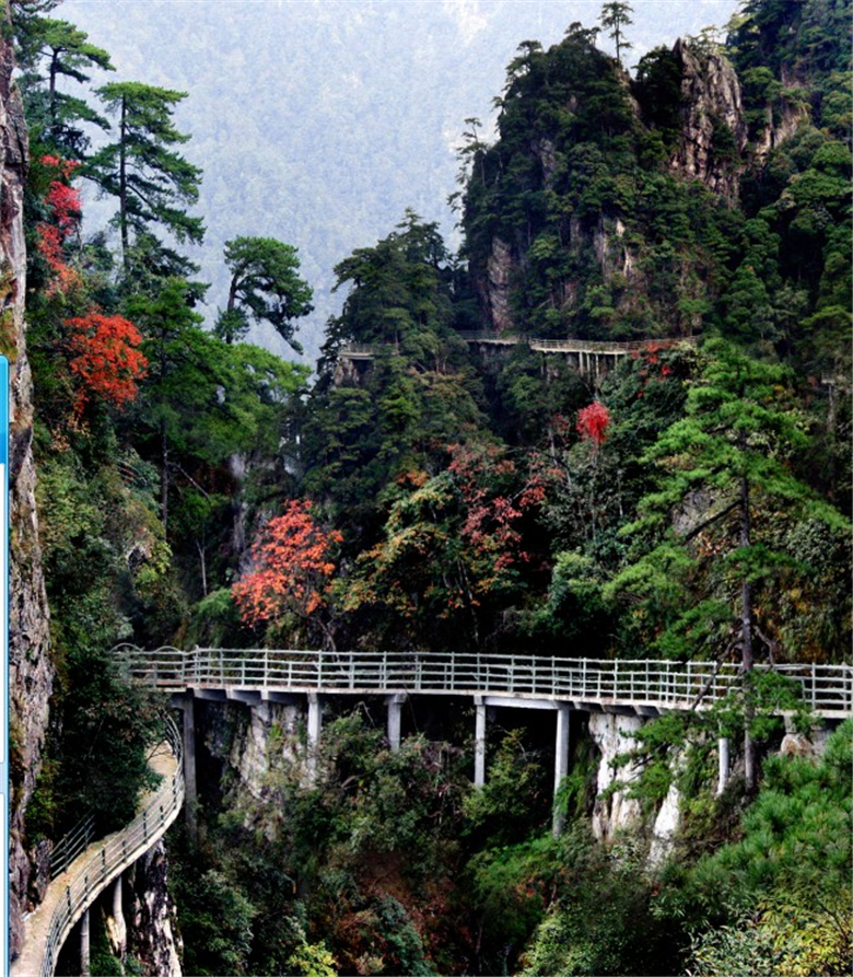 井冈山现在别人怎么约到大学生