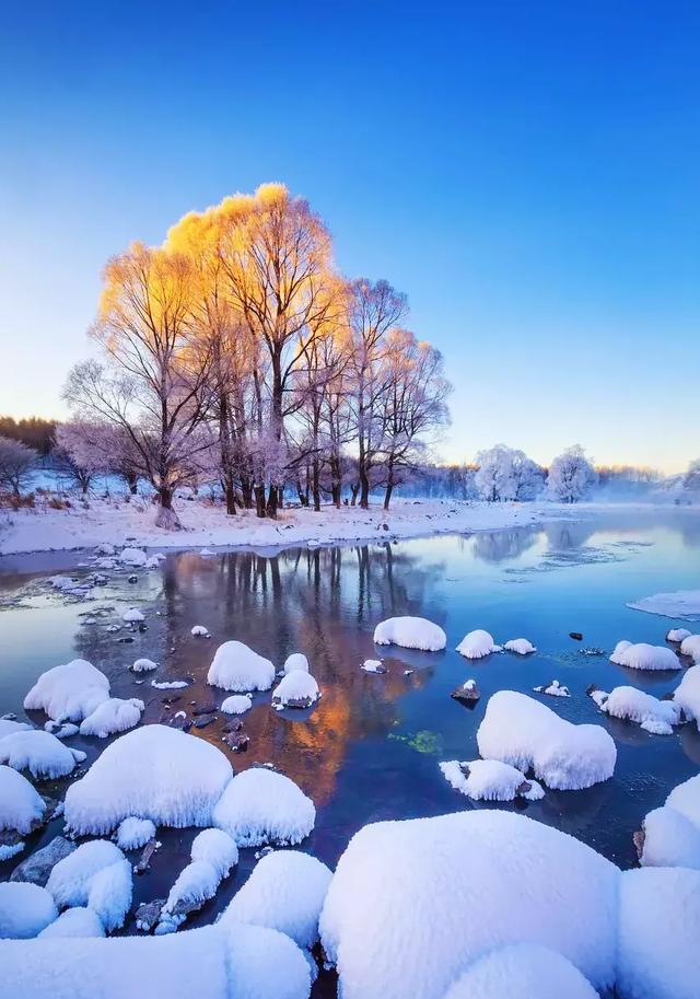 冬天的三亚很暖,冬天的雪乡很梦幻,但是都不及对阿尔山的向往那么浓.