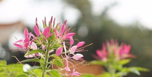 人生四字真言,每天看一遍,活得轻松一点