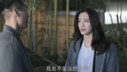 心疼老外追剧难都挺好要出英文版?