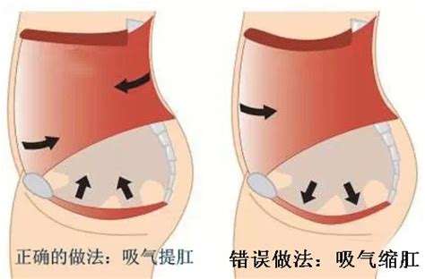 　中国最长寿皇帝的保健秘诀：提肛运动