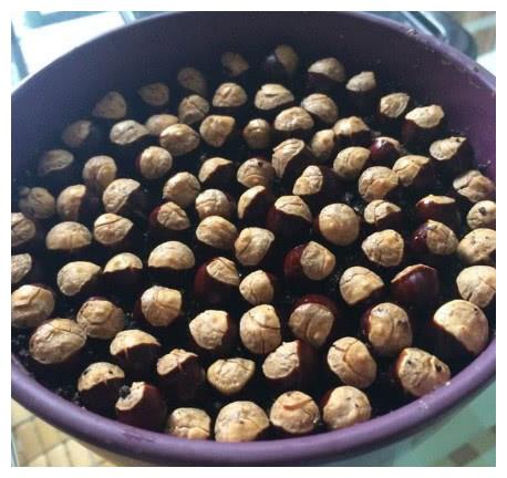 吃完水果别乱丢，尤其这3种，取出果核埋土里，能成“美盆景”！