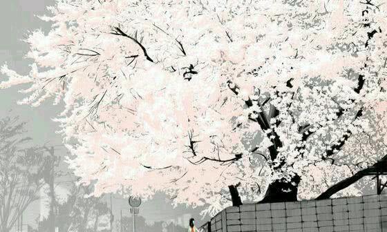 有哪些高级又走心的情人节礼物?