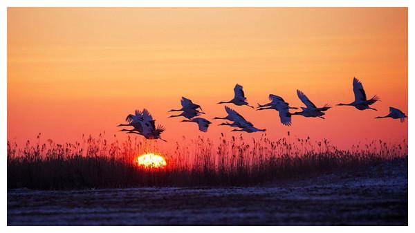 哈尔滨或升为“直辖市”？黑龙江新省会迁向何处，不是牡丹江！