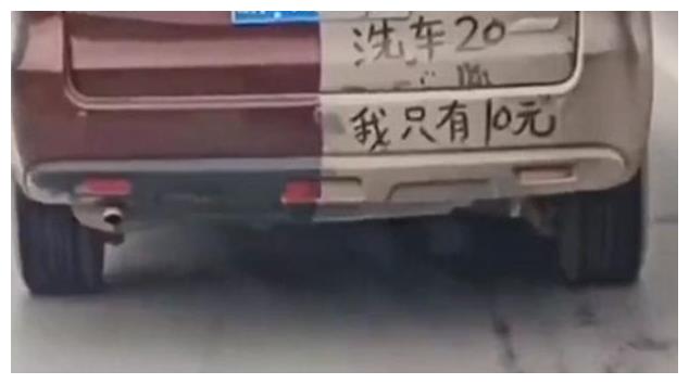 重庆一公路偶遇启辰车,本不会太注意,车尾一行字让人哭笑不得!