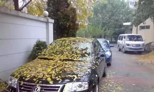 一辆汽车可以放多少天不开？老司机：超过这个数，就要花钱吧