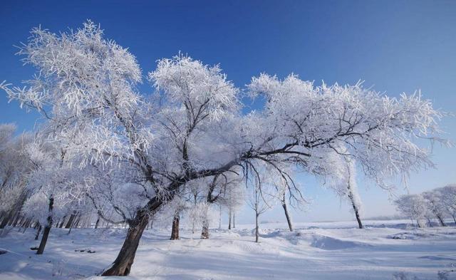 冬天去哪里看最美的雪景?这些地方美炸了