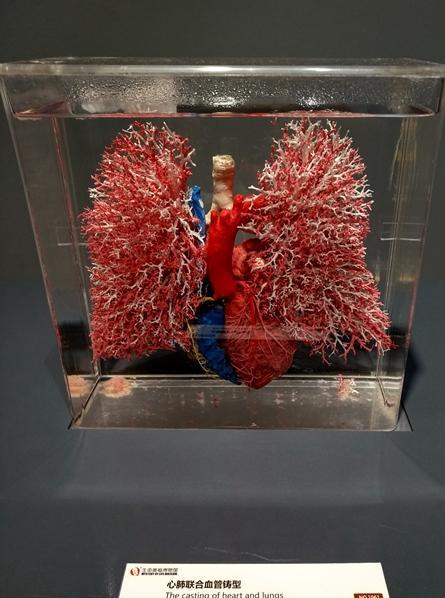 宇宙有没有尽头 宇宙最终结局会是什么样子