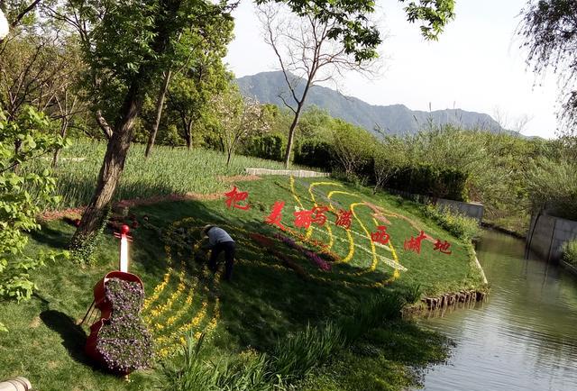杭州旅游之大连湿地一日游v湿地棒棰岛攻略西溪图片