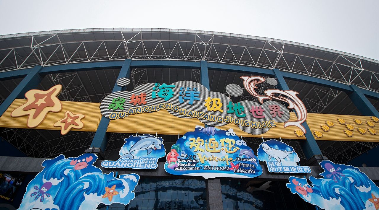 泉城海洋极地世界里精彩的剧场表演