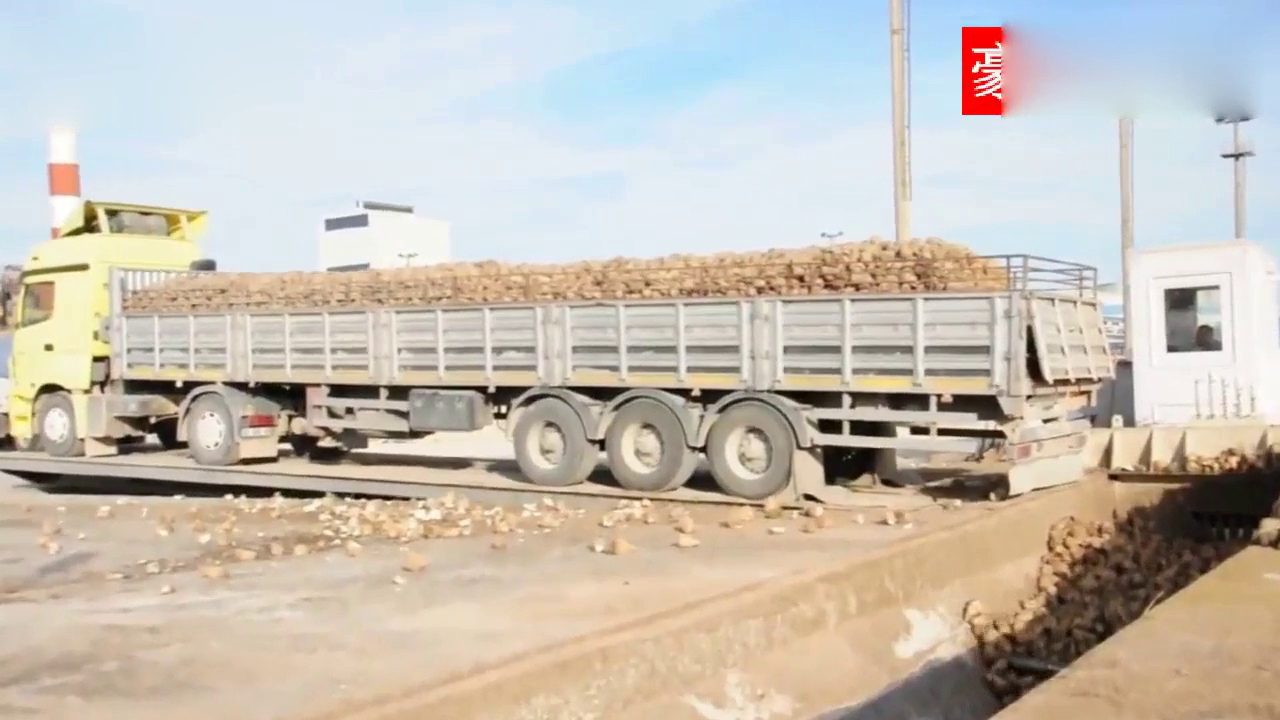 大型起重机械的力量展示，满载货物的加长卡车被轻松连车带货顶起