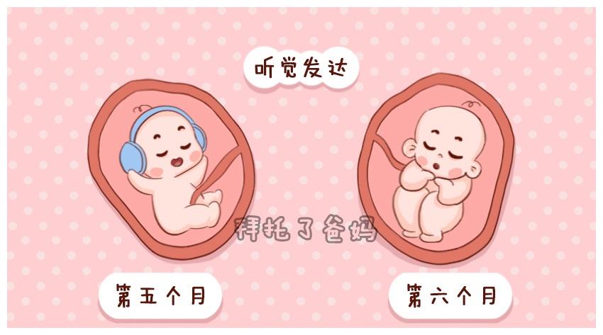 胎儿发育全过程图,原来胎宝宝在妈妈肚子里是这样长大的,神奇!