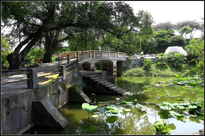 在鹤山市有一个被称为"威尼斯"的地方,这就是"古劳水乡".