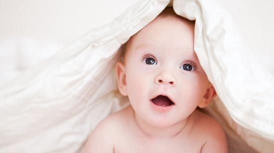 “鸡的‘智力’被低估”等8则...