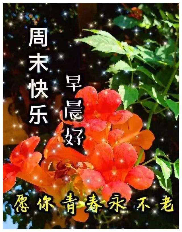 冬季群发清晨早安问候语暖心 冬天漂亮早上好祝福语图片带字