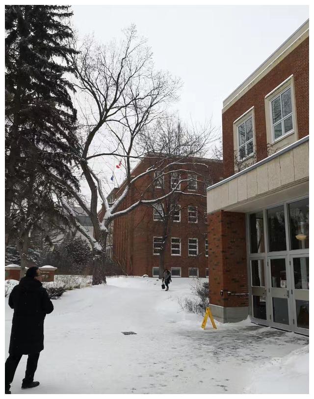 阿尔伯塔大学qs排%e_阿尔伯塔大学教师队伍建设给我们的启示(2)