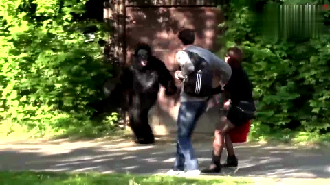 国外恶搞：在动物园打扮成大猩猩从草丛跳出，路人被吓得大叫起来