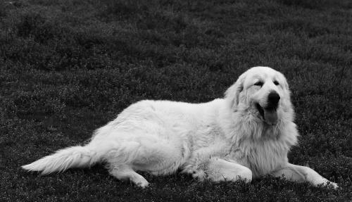 萧山经济总量有多牛_萧山经济开发区医院(3)