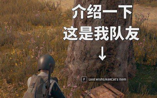 刺激战场中为什么老是成盒?还不是因为这些做法,玩家:尴尬!