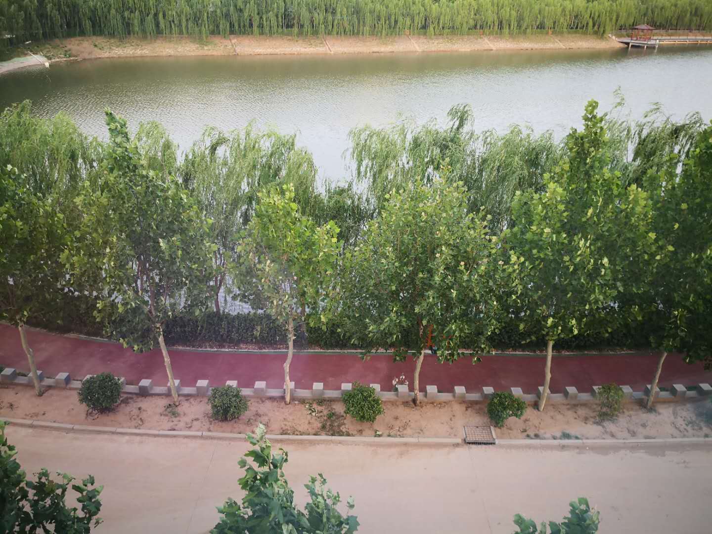 曲周县太极湖：种下绿荫引客来