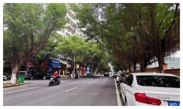 真正会开车的人,可能有这8个开车好习惯,看看你有几个?