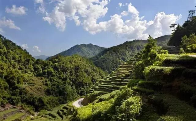 铁观音发源地福建安溪农业产业园的发展晋升之