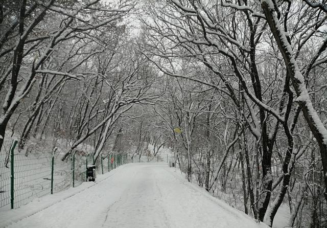 雪中行,雪中情,雪中景,吉林龙潭山雪景太美了