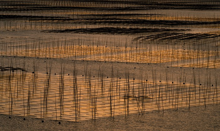 缤越自驾游光影霞浦，真是难得一见的景象，更觉夕阳无限好